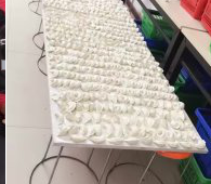 冬至來臨，公司員工一起來包＂扁食＂
